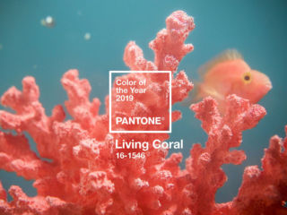 Farbe des Jahres 2019 PANTONE Living Coral